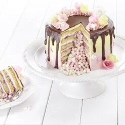 Westmark Verstelbare Hoge Taartvorm 16 - 30 Cm Rvs 5 Westmark Verstelbare Hoge Taartvorm 16 - 30 Cm Rvs -Kook Winkel 31302260 3003