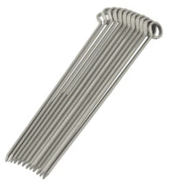 Oldenhof Vleesspies 30 Cm Rvs 12 Stuks