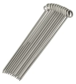 Oldenhof Vleesspies 25 Cm Rvs 12 Stuks