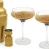 Leopold Arinto Martini Cocktail Set 4-delig
