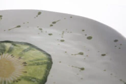 1821 Italiaans Servies Diep Bord ø 24 Cm Aardewerk Kiwi -Kook Winkel macro cf 6362 x1000