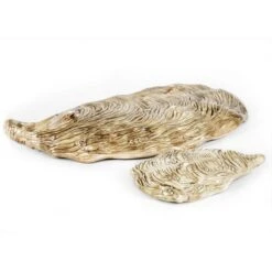 Oldenhof Oesterschaal Medium Naturel -Kook Winkel oldenhof oesterschaal medium naturel2