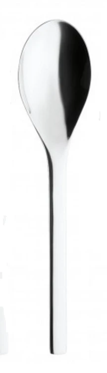 Puresigns One Serveerlepel 25,4 Cm Rvs Glans