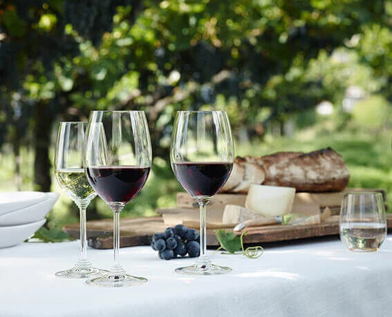 Riedel Vinum Riesling / Zinfandel Wijnglas 400 Ml Kristalglas 2 Stuks 2 Riedel Vinum Riesling / Zinfandel Wijnglas 400 Ml Kristalglas 2 Stuks - Afbeelding 2