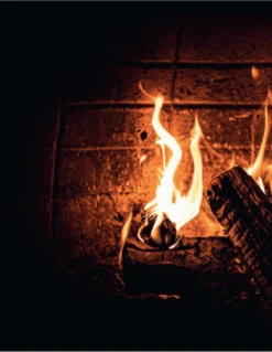 Smokey Goodness - Burgers & BBQ Bites -Kook Winkel schermafbeelding 2021 03 24 om 13.25.05