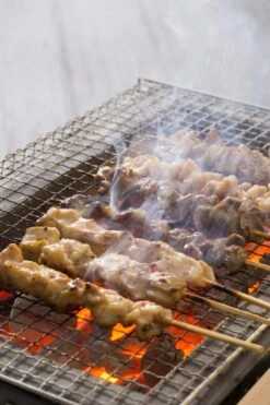 Oldenhof Konro Grill Diatomite Japanse Barbecue B-9 31 X 23 X 20 Cm -Kook Winkel shutterstock 556753543 2