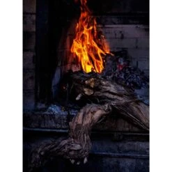 Smokey Goodness 2 : Het Next Level Barbecueboek -Kook Winkel sm3 2